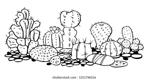 Different cactuses composition. Vector hand drawn outline black and white sketch illustration isolated on white background