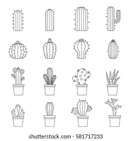 Different cactuses icons set. Outline illustration of 16 different cactuses vector icons for web