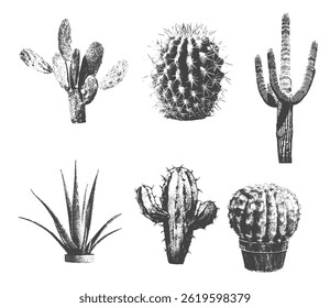 different cactuses with monochrome vintage photocopy effect, y2k collage design. Retro halftone stipple design elements.  Vector drawing for a weird, grunge, punk poster
