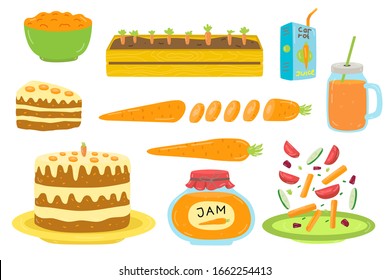 Different carrot foods on vector healthy cooking hand drawn illustration isolated on white. Vegetarian organic orange slice, package, glass mug with juice. Tasty cake, salad, planted plant in box.