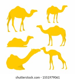 Different cartoon camels set. Simple flat vector illustration