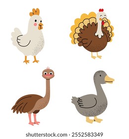 Different cartoon domestic birds. Cute birds set. Chicken, turkey, goose, ostrich