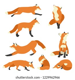 Different cartoon foxes set. Simple flat vector illustration