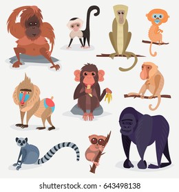 Different cartoon monkey breed character animal wild zoo ape chimpanzee vector illustration.