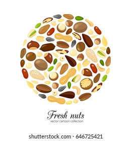 Different cartoon nuts composed in circle shape on white background.