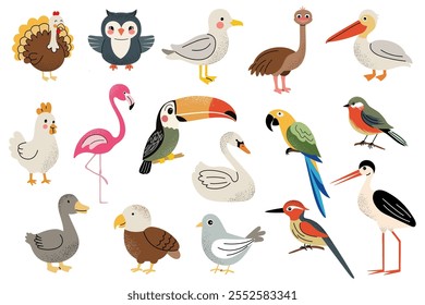 Diferentes aves selvagens e domésticas. Pássaros bonitos criados. Coruja, cisne, cegonha, pomba, pelicano, tucano, peitinho. 