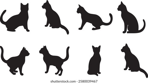 Different cat angle black silhouette on white background
