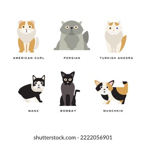 Different Cat Breed with American Curl, Persian, Turkish Angora, Manx, Bombay and Munchkin Vector Set