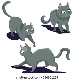 Different cat poses. Cat playing. Fun cats on white in different situations.