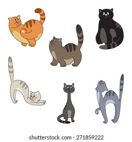 Different cats collection