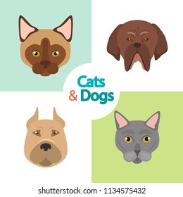 Different cats and dogs breeds muzzles color vector icons set. Flat design