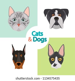 Different cats and dogs breeds muzzles color vector icons set. Flat design