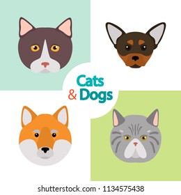 Different cats and dogs breeds muzzles color vector icons set. Flat design