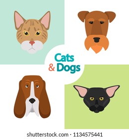 Different cats and dogs breeds muzzles color vector icons set. Flat design