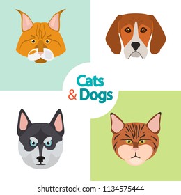 Different cats and dogs breeds muzzles color vector icons set. Flat design