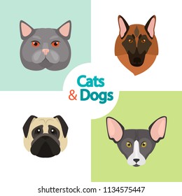 Different cats and dogs breeds muzzles color vector icons set. Flat design