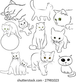 different cats and kittens