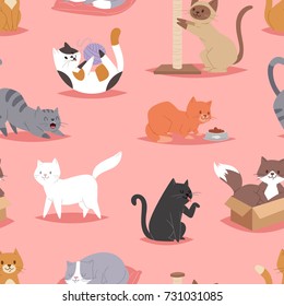 Different cats kitty play defferent pose character illustration vector seamless pattern background