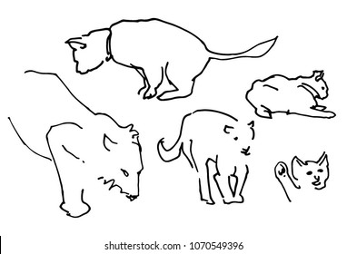 Different cats linear, vector lines sketch