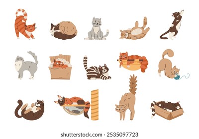 Different cats playing, sleeping, stretching, relaxing flat vector illustrations set isolated on white.