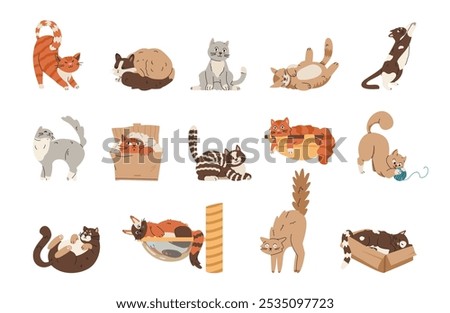 Different cats playing, sleeping, stretching, relaxing flat vector illustrations set isolated on white.