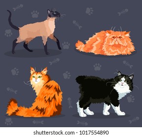 Different  cats set with different colored fur and markings, standing sitting or walking. Vector illustration.