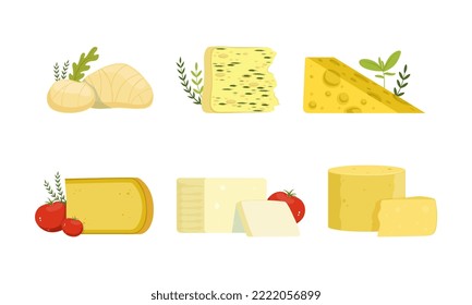 Different Cheese Chunk as Dairy Product with Various Flavor and Texture Vector Set