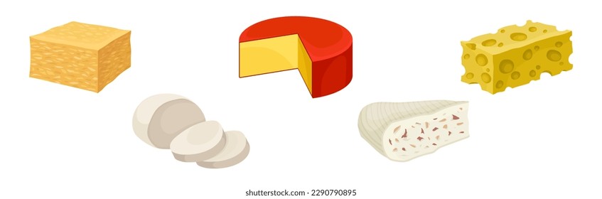 Different Cheese as Dairy Product Made from Milk Vector Set