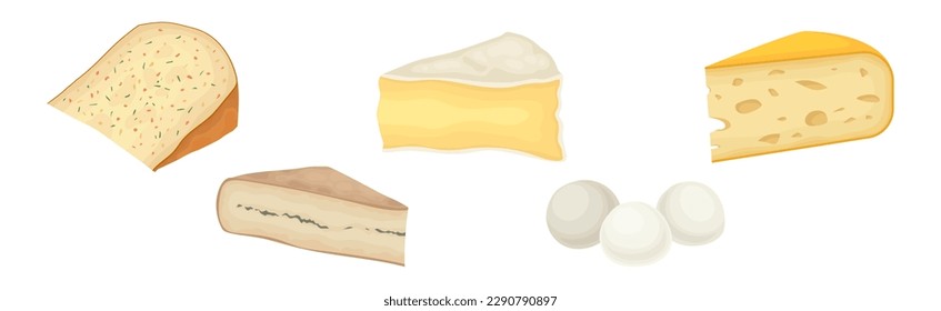 Queso diferente como producto lácteo hecho a partir de un conjunto de vectores de leche