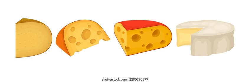 Different Cheese as Dairy Product Made from Milk Vector Set
