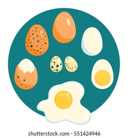 Different chicken and quail eggs, raw, boiled and fried, vector illustration
