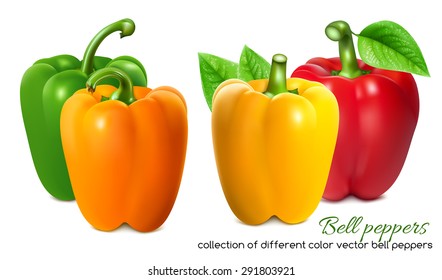 Different color bell peppers. Vector illustration.