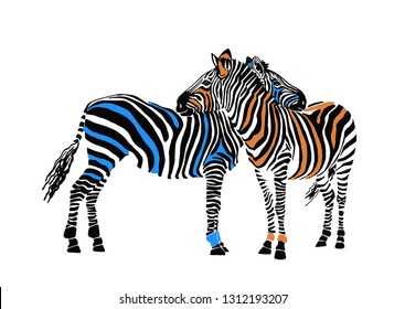 Different color couple of zebras isolated on white background, vector illustration 