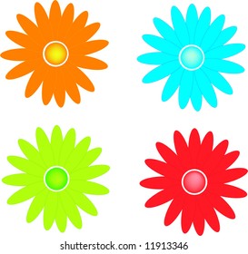 Different color daisies