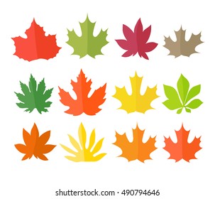 Different color leaves vector collection. Leaves isolated on white 