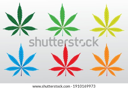 different color leaves  vector design