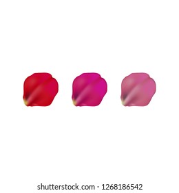 different color rose petals set, isolated on white, vector illustration