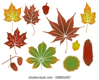 Different colored autumn leaves with grain on white background illustration