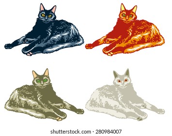 Different colored cats isolated on a white background