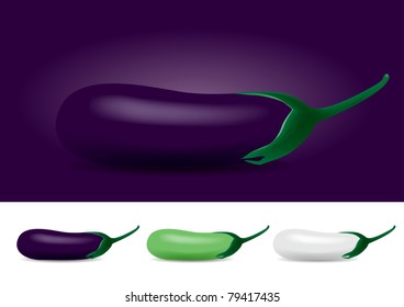 Different Colored Eggplant - Vector Illustration