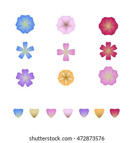 different colored flowers and petals isolated on white background
