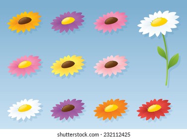 Different colored heads to put on daisy's stem.