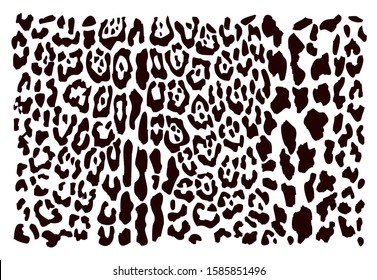 Different colored leopard fur pattern design, pardus and panthera vector illustration background.
