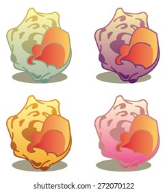 Different colored shells on a white background