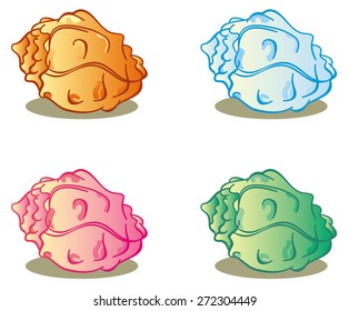 Different colored shells on a white background