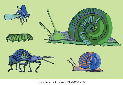 different colorful insects: snails, beetles and caterpillars