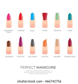 Different colorful nail shapes. Woman fingers. Fingernails fashion trends. Vector design illustration