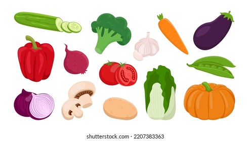 Different colorful vegetables vector illustrations set. Cartoon drawings of broccoli, carrot, eggplant, zucchini or cucumber, onion, garlic isolated on white background. Organic food, health concept