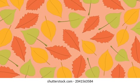 Different colors of leaves in fall