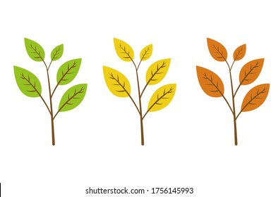 diferentes colores de hojas aisladas en blanco